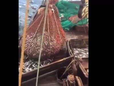 #EsViral Una gran sorpresa atrapada en la red de pesca