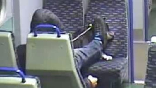 Murió un perro tras una brutal agresión de su dueño en un tren de Inglaterra