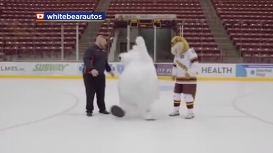 #EsViral La publicidad con el oso polar que no puede caminar en el hielo