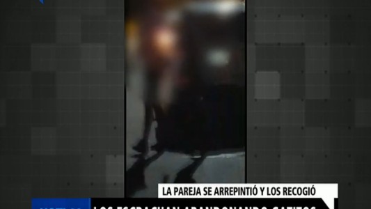Los escracharon cuando abandonaban gatitos