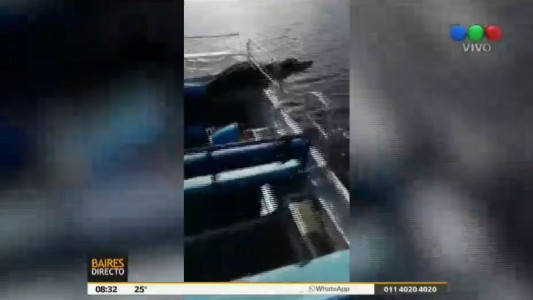 Un caimán atacó una embarcación en los Everglades de Florida