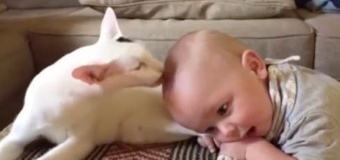 #EsViral Así es el amor a primera vista entre un bebé y un gato