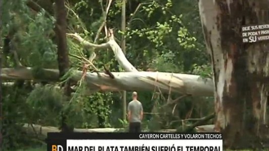 Mar del Plata: 35 evacuados por el temporal