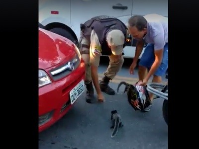 #EsViral La pelea de bandas que termina cuando interviene la policía