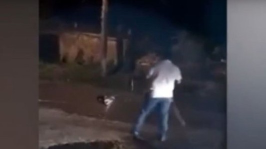 Video terrible: un cocodrilo se come un perro en México