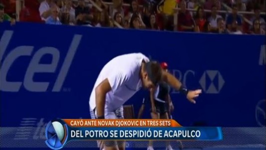 Del Potro perdió con Djokovic y ahora piensa en Indian Wells