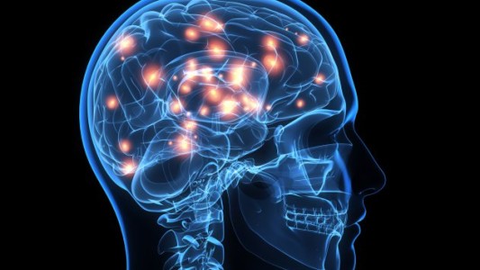 Registran actividad cerebral en un fallecido durante 10 minutos