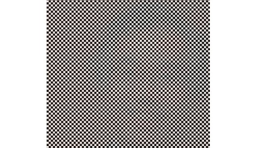 Reto viral: ¿podés ver la cara oculta en la imagen?