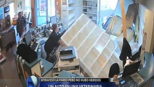 Un auto se metió adentro de una veterinaria