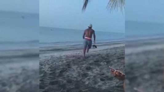 Video viral: intentó pegarle a un perro y una jauría salió a defenderlo