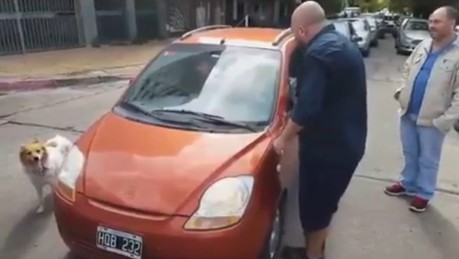 Escracharon a una familia que intentó abandonar a un perro en La Plata