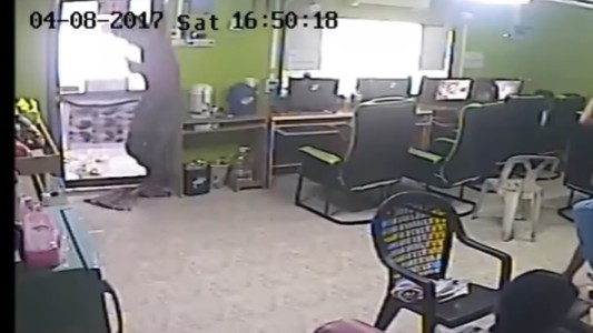 Video: abrió la puerta de un comercio y lo atacó una serpiente