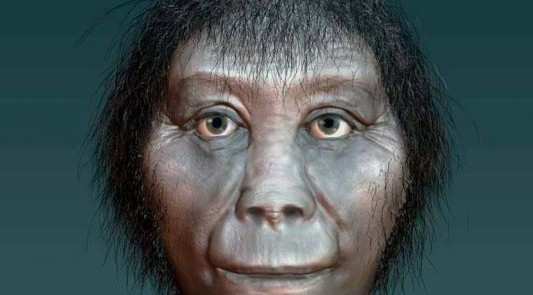 Descubrieron el origen del "hobbit"