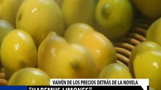 Habemus limones