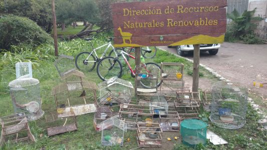 Desbarataron banda que comercializaban animales silvestres a través de una red social