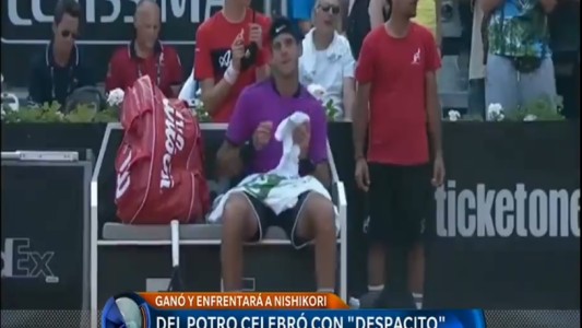Del Potro celebró con "Despacito"