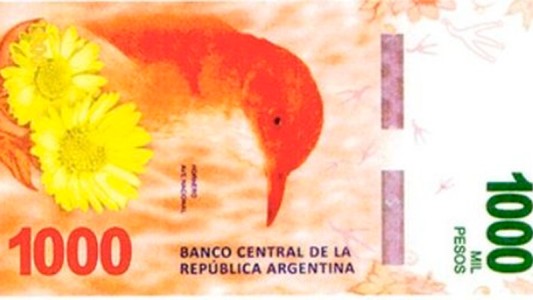 Lanzarán en octubre el billete de $1000 con la imagen del hornero