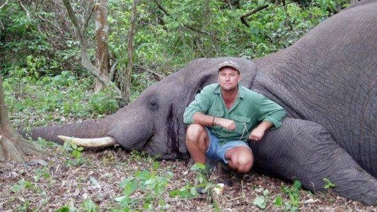 Cazador murió aplastado por un elefante luego de dispararle a sus crías