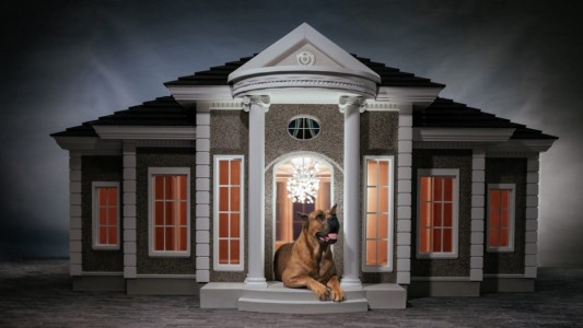 La nueva moda entre los millonarios es comprarle estas mansiones de lujo a sus perros