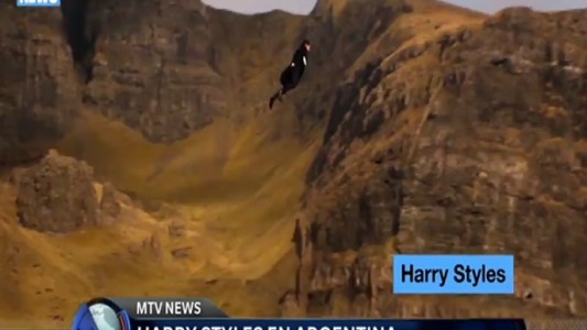 MTV news: Harry Styles en Argentina