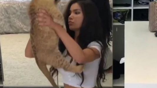 Una modelo rusa intentó recrear una escena de "El rey león" y se llevó una sorpresa