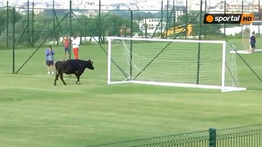 #EsViral Una invasión de cancha y partido suspendido