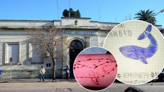 Murió el adolescente que estaba internado desde mayo tras jugar a la "Ballena Azul"