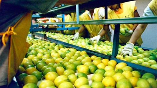México abre su mercado a los limones argentinos