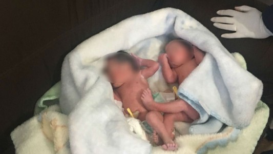 Sorpresa en Brasil: una mujer encontró a dos gemelas abandonadas en el medio del campo