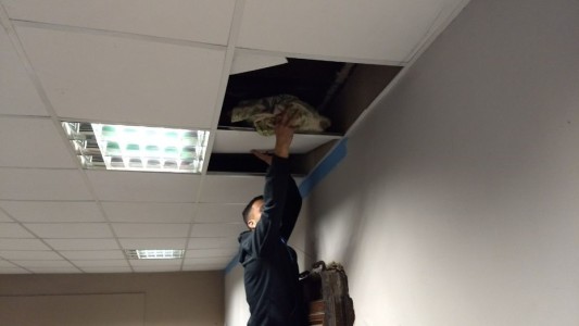 Vinculan la incautación de droga en la DDI de Avellaneda-Lanús a la lucha contra las mafias