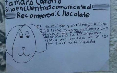 La nena que había perdido su perro y dibujó los carteles a mano para buscarlo