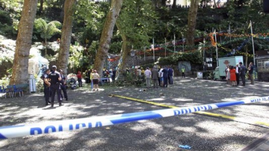 Tragedia Portugal: se cayó un árbol y mató a trece personas