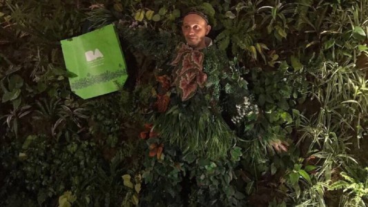 Bergman justificó el disfraz de planta: "Es un tema gracioso para hablar de algo serio, que es el cambio climático"