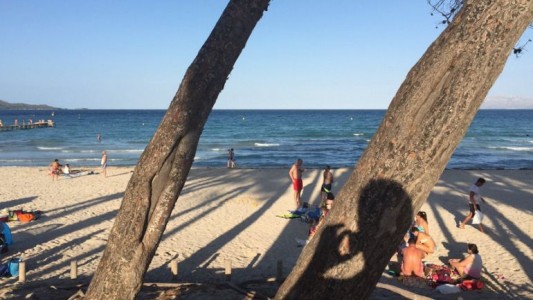 Las curiosas vacaciones de un dibujante español que toda España sigue por Twitter