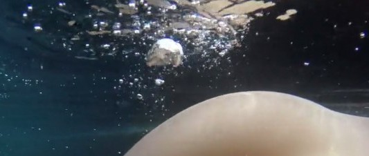 El youtuber que muestra las flatulencias abajo del agua en cámara lenta