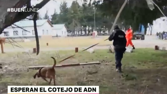 Desaparición de Maldonado: el Gobierno confirmó que investigan a siete gendarmes