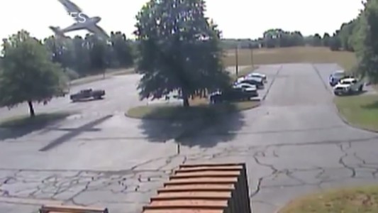 Video: volaba muy bajo y se estrelló contra un árbol