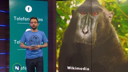 Llegaron a un acuerdo por los derechos de la "selfie" del mono