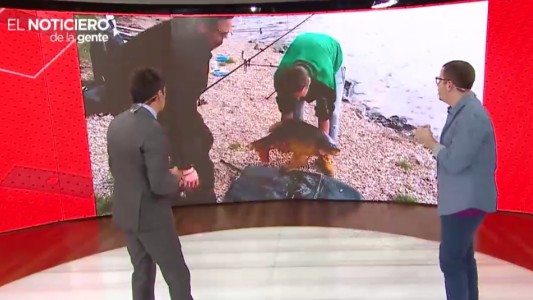 De pescado a pez, un esquiador estilo parkour y el robot director