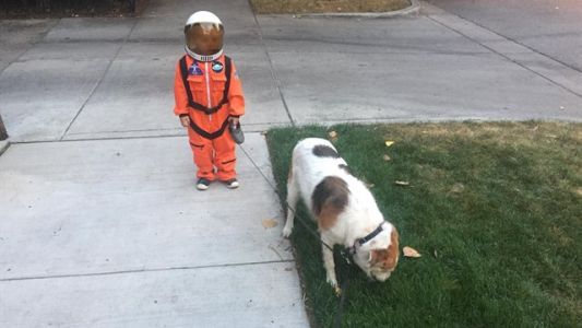 Viral tierno: este nene sacó a pasear a su perro vestido de astronauta y estallaron los memes