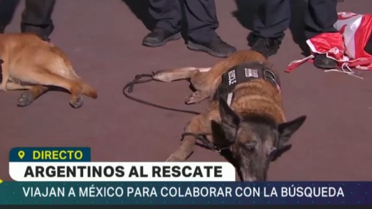 Rescatista especialista en búsqueda de personas viaja a México con su perro