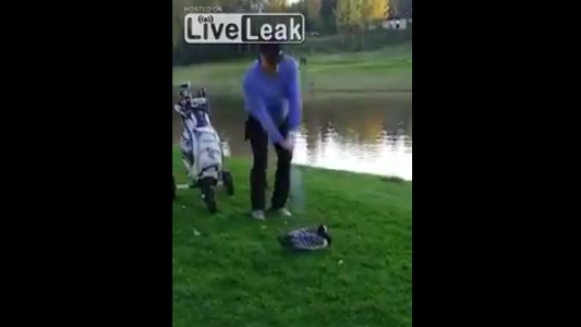 Horror viral: grabaron a un golfista decapitando a un ganso en una cancha de golf y fue detenido por la policía