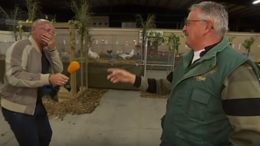 #EsViral : el granjero holandés que se ríe como sus pollos y contagia a todos