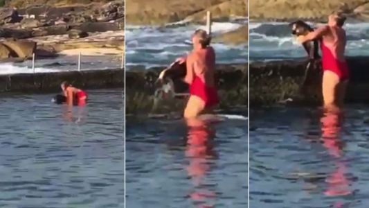 Video: levantó a un tiburón atrapado y lo devolvió al mar