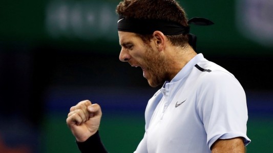 Del Potro ganó y avanzó a los cuartos de final en Shanghai