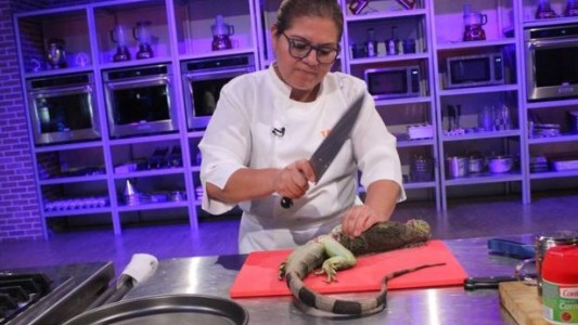 Escándalo en un programa de TV: mataron y cocinaron en vivo a varias iguanas en peligro de extinción