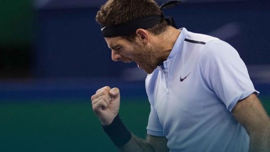 Ranking: Del Potro volvió a meterse entre los mejores 20 del mundo