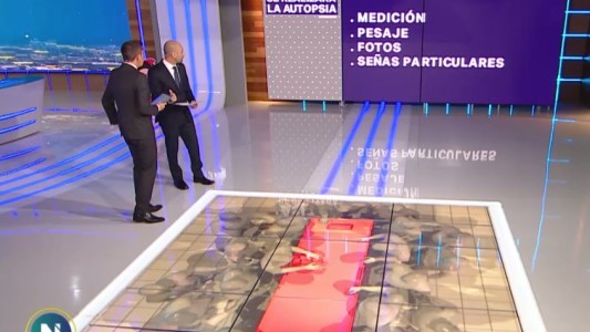 Caso Maldonado: así será la autopsia