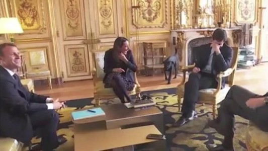 Video: el perro del presidente francés irrumpió en una reunión y orinó en el despacho