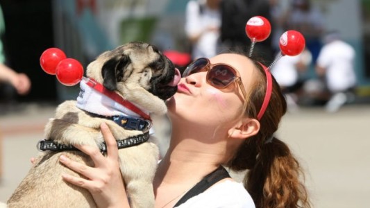 Más personas prefieren salvar a un perro antes que a una nene